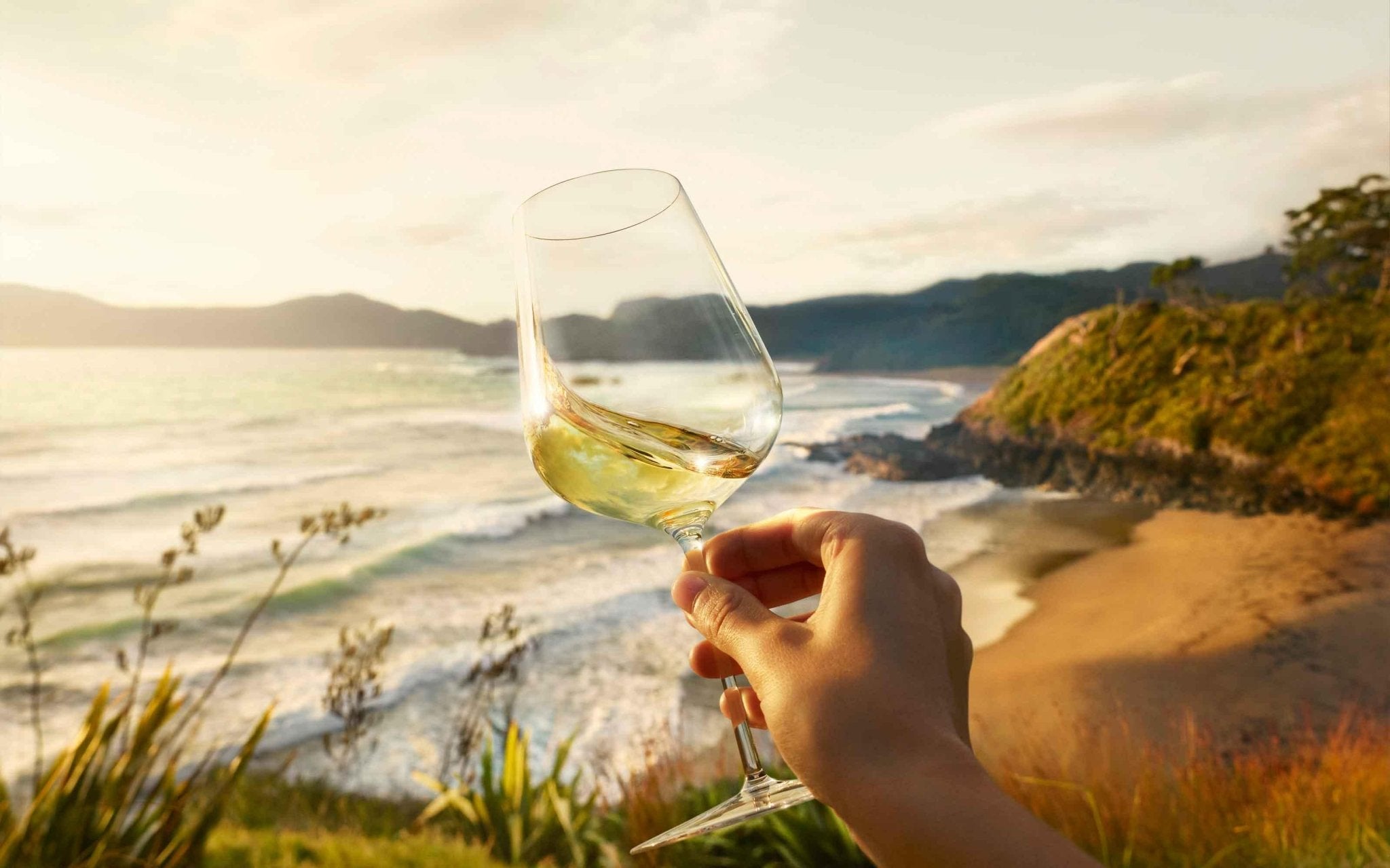 Hvidvin - PremiumBottles