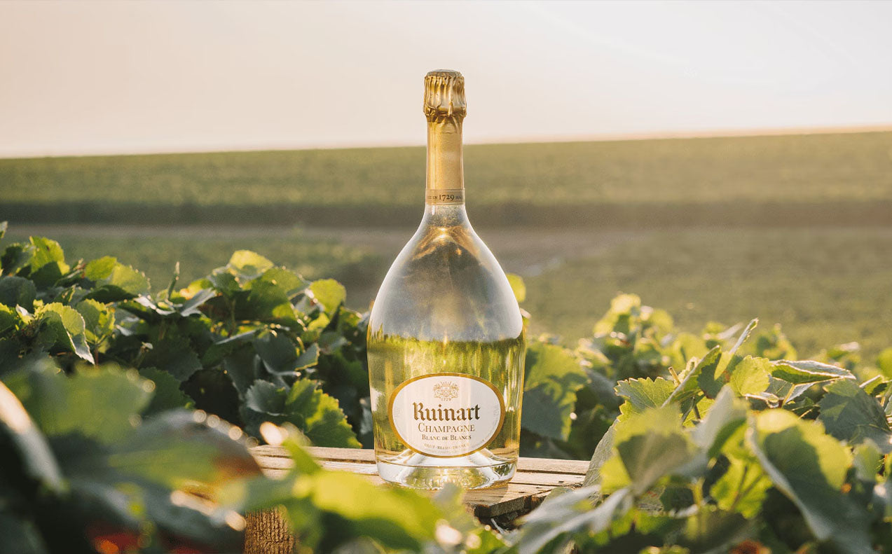 En flaske Ruinart Blanc de Blancs Magnum Champagne i en vinmark i Champagne