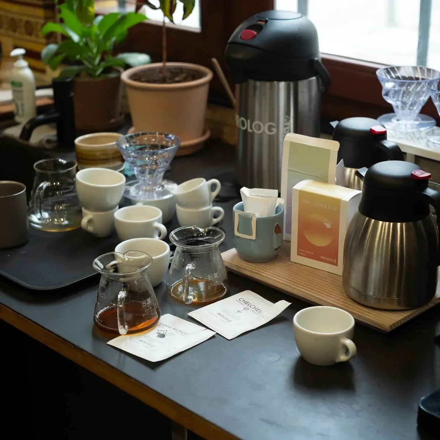 Prolog Prolog Drip Coffee Box - Daniel Monge Catuai 5 stk. - PremiumBottles