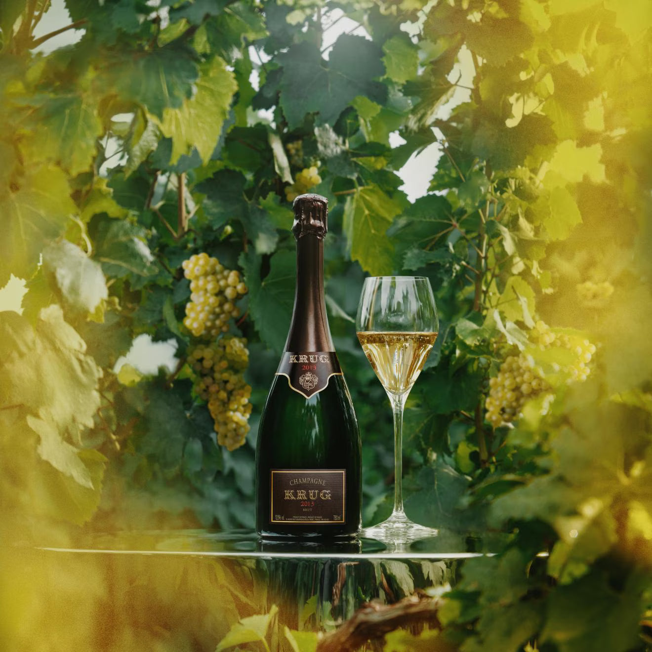 Oplev krug 2013: en dybdegående rejse