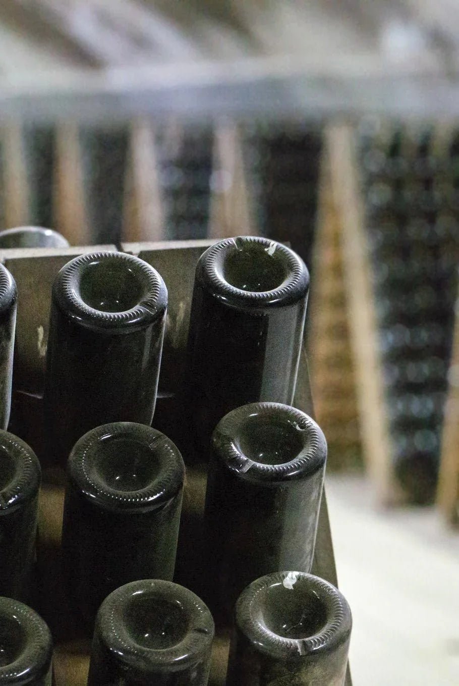 Champagne fremstilling - Læs om hvordan champagne bliver til - PremiumBottles