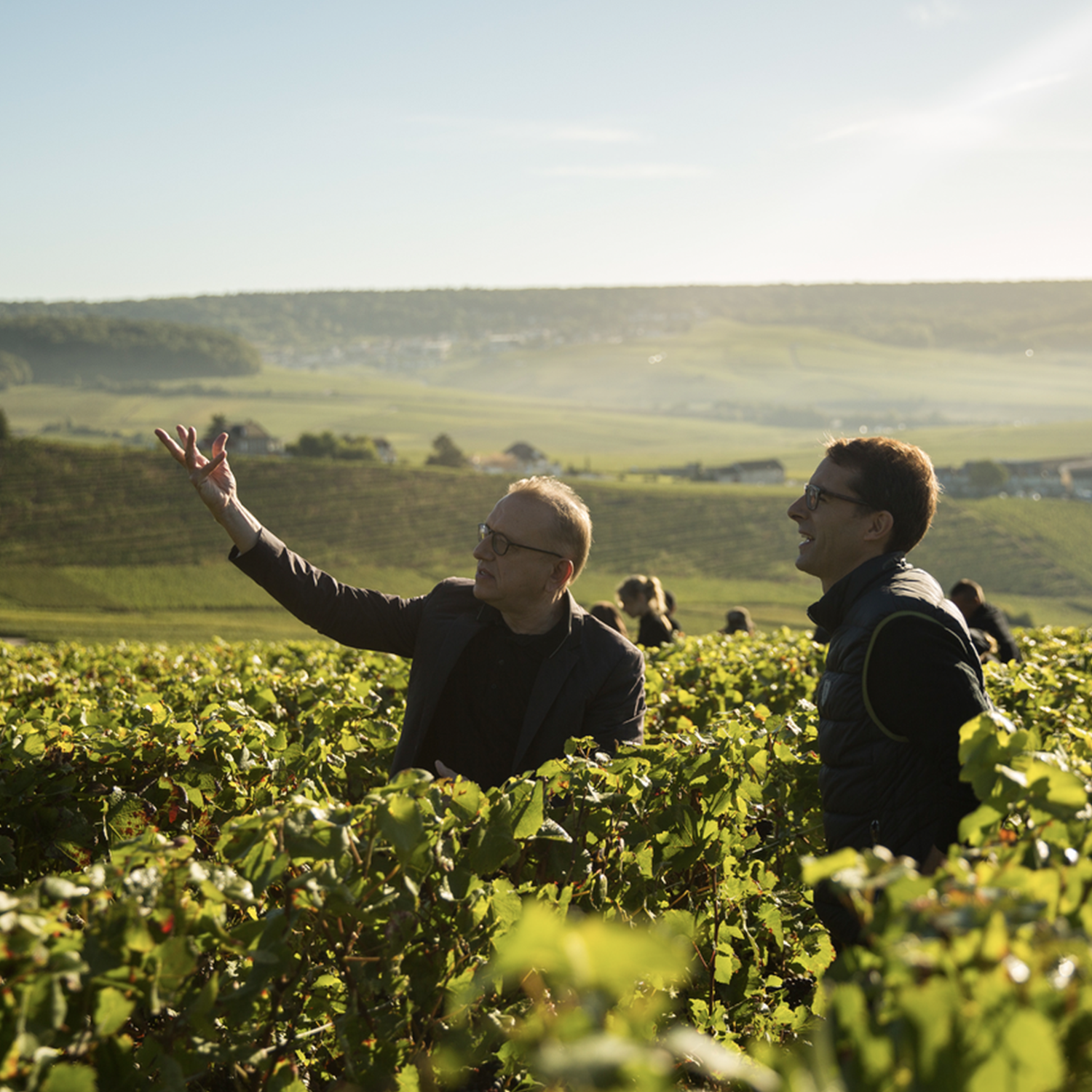 Dom Pérignon – den ikoniske Champagne hos PremiumBottles