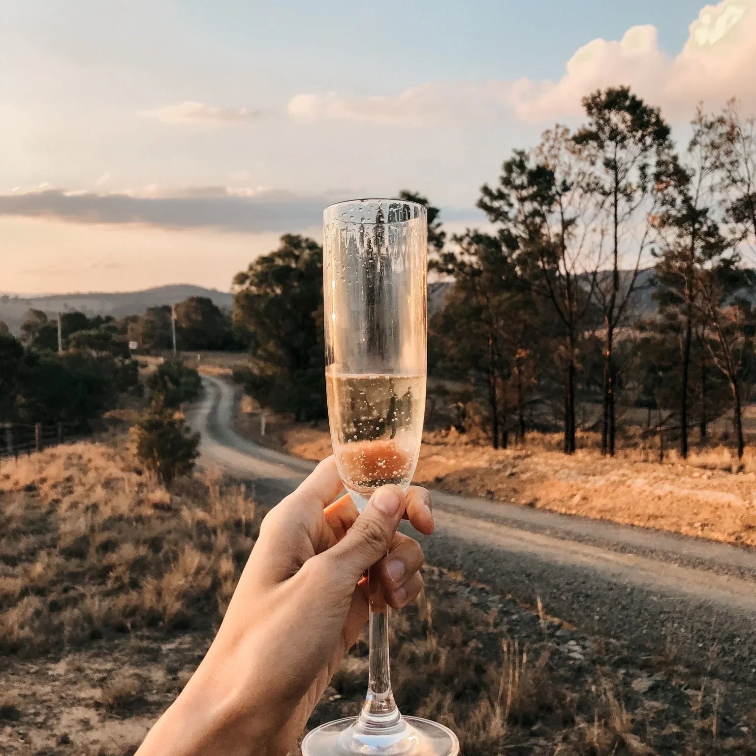 Ferieguiden til VEUVE CLICQUOT - Den Gule Enke - PremiumBottles