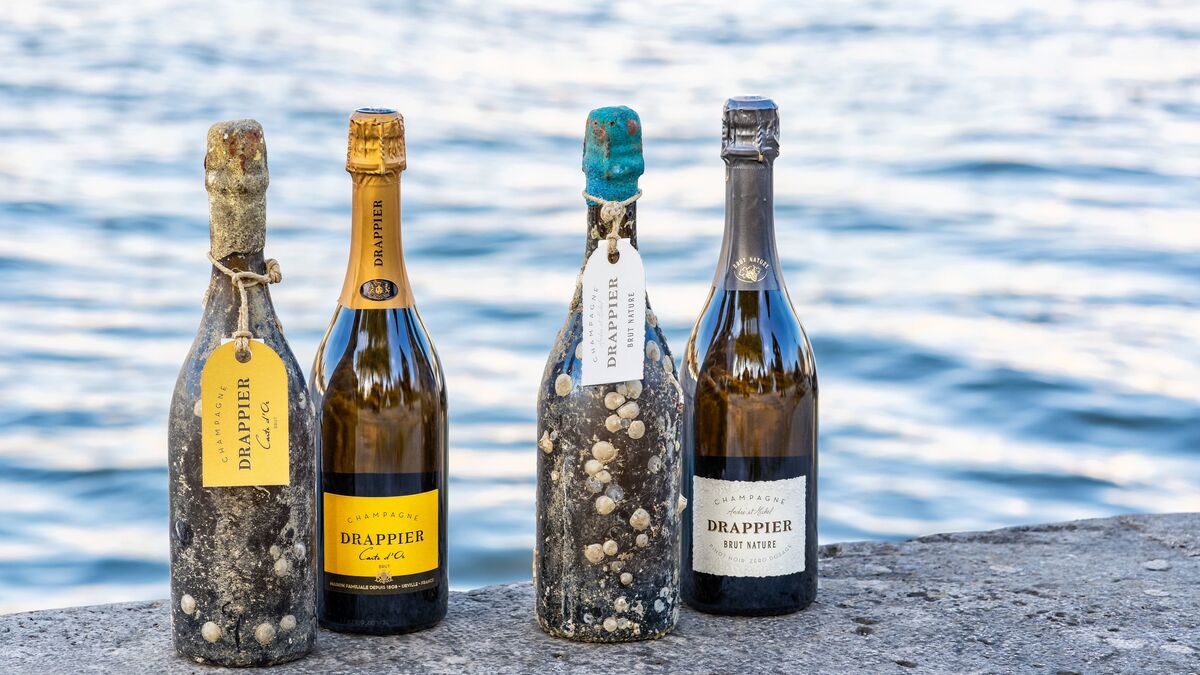 Drappier Immersion Collection