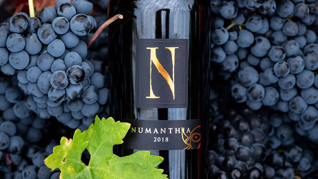 Bodega Numanthia