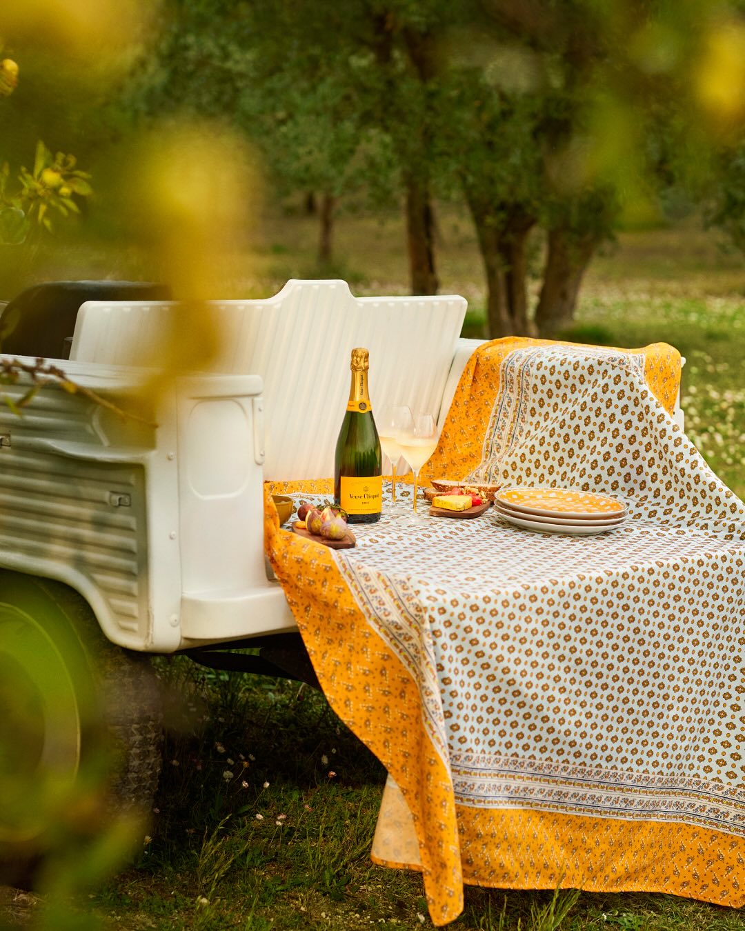 Veuve Clicquot brut magnum flaske champagne picnic i naturen foran træer