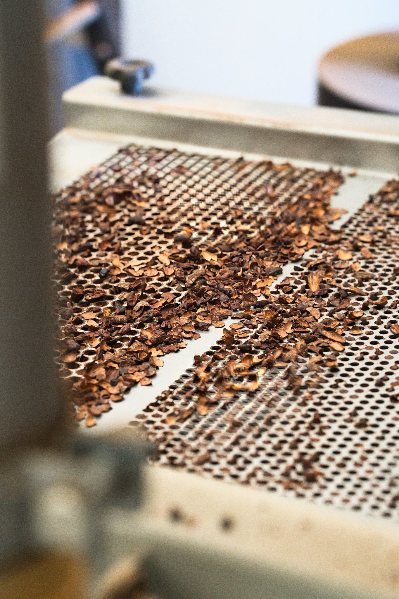 Kakaobønner på et industrielt bånd under chokoladeproduktionsprocessen