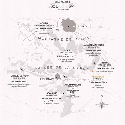 Bérêche et Fils Brut Réserve Vieilles Vignes 75 cl.