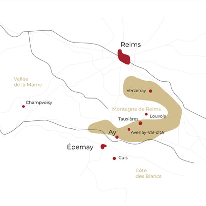 Bollinger PN TX20 Brut Blanc de Noirs 75 cl.