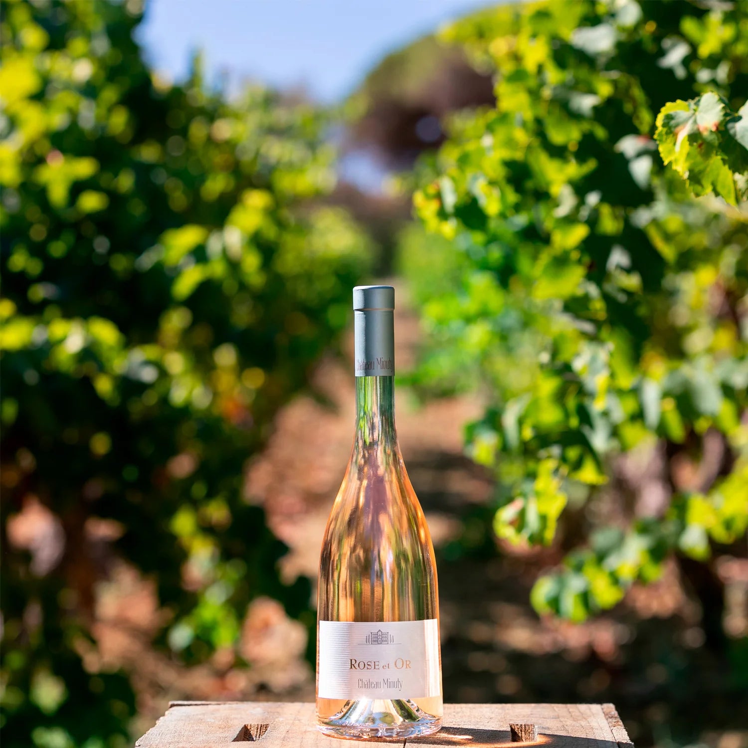Château Minuty Cuvée Or Rosé vinflaske placeret på en trækasse i vinmarken
