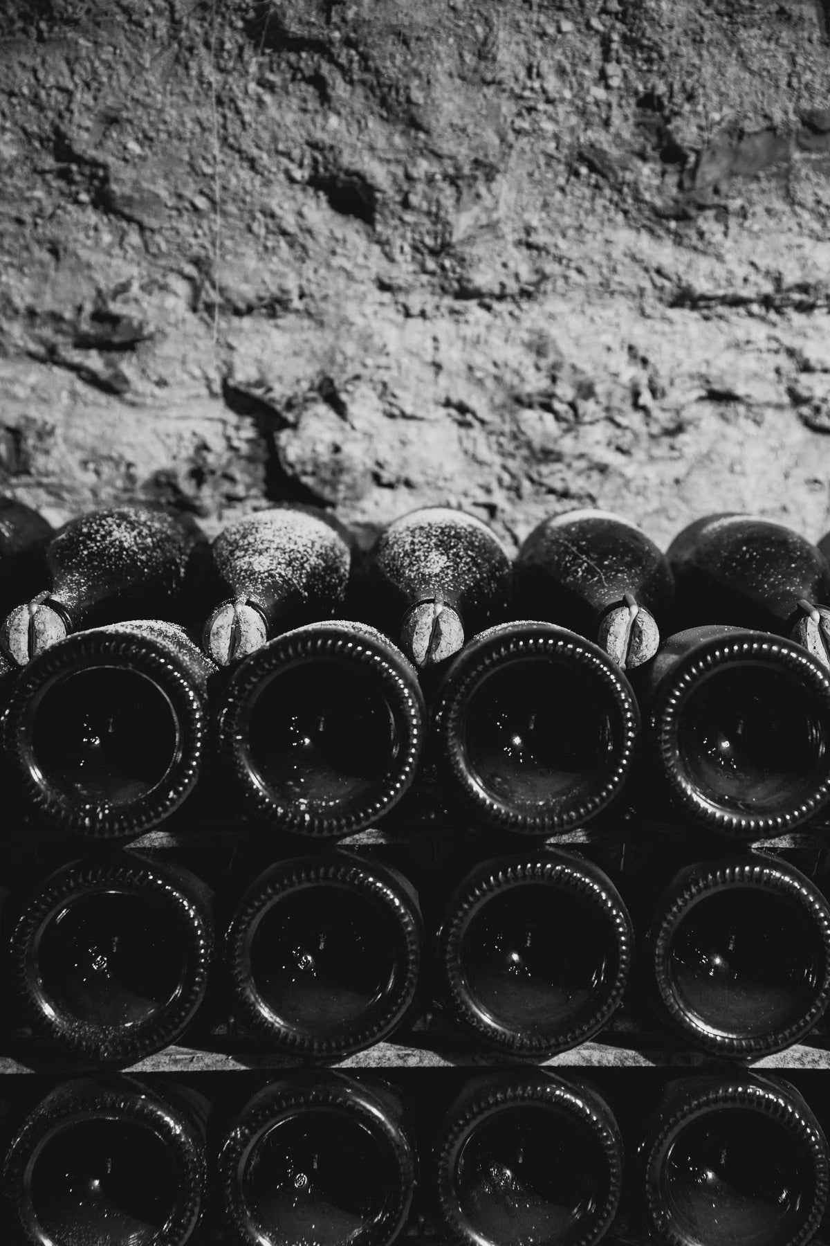 Champagneflasker modnes i en mørk vinkælder, sort/hvid billede