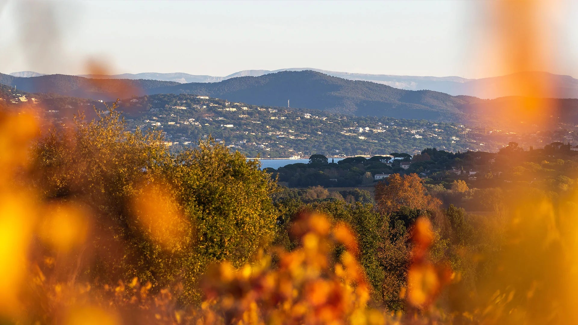 Provence vinmarker med udsigt over Middelhavet og kystbebyggelsen