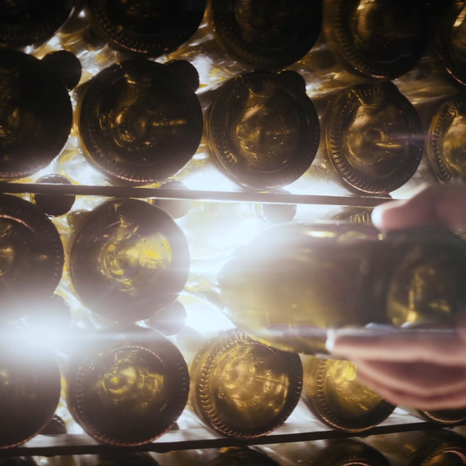 Hånd stabler Moët & Chandon Collection Impériale champagneflasker på hylde i kælderen