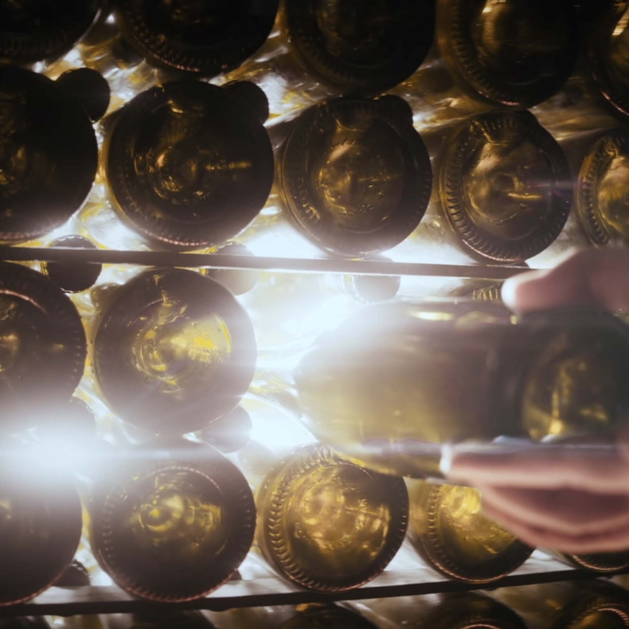 Hånd stabler Moët & Chandon Collection Impériale champagneflasker på hylde i kælderen