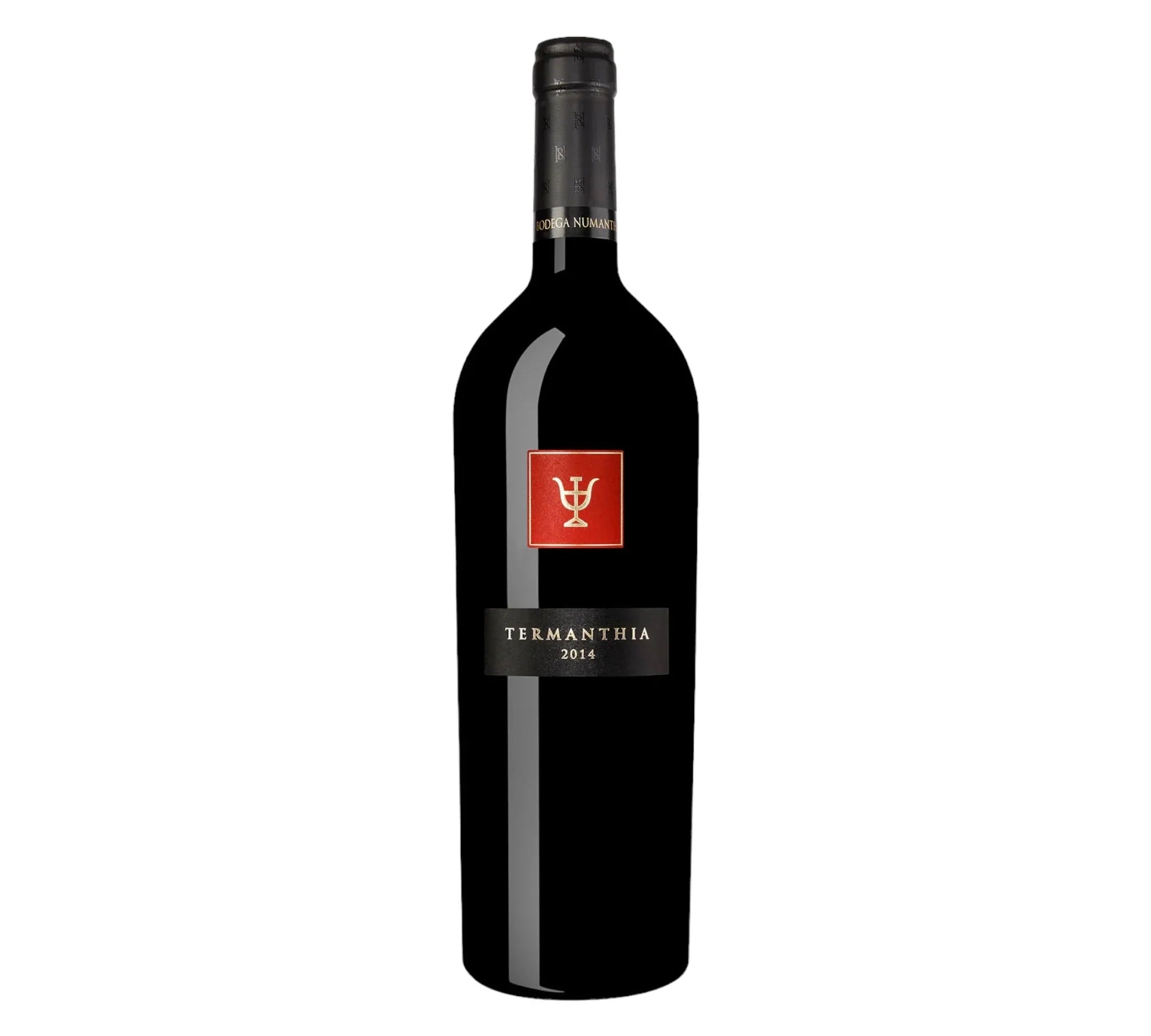 Bodega Numanthia Bodega Numanthia Termanthia 2014 75 cl. 15% - PremiumBottles