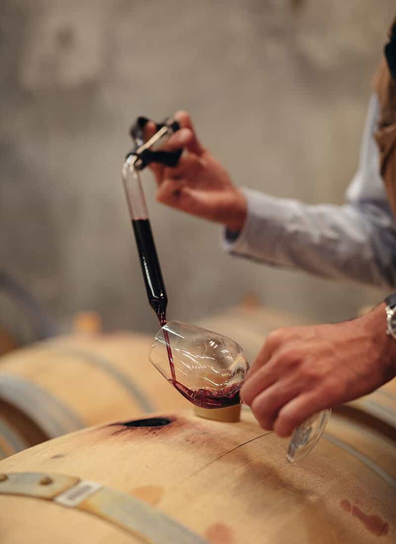 Winemaking proces med rødvin, der hældes fra tønde til glas