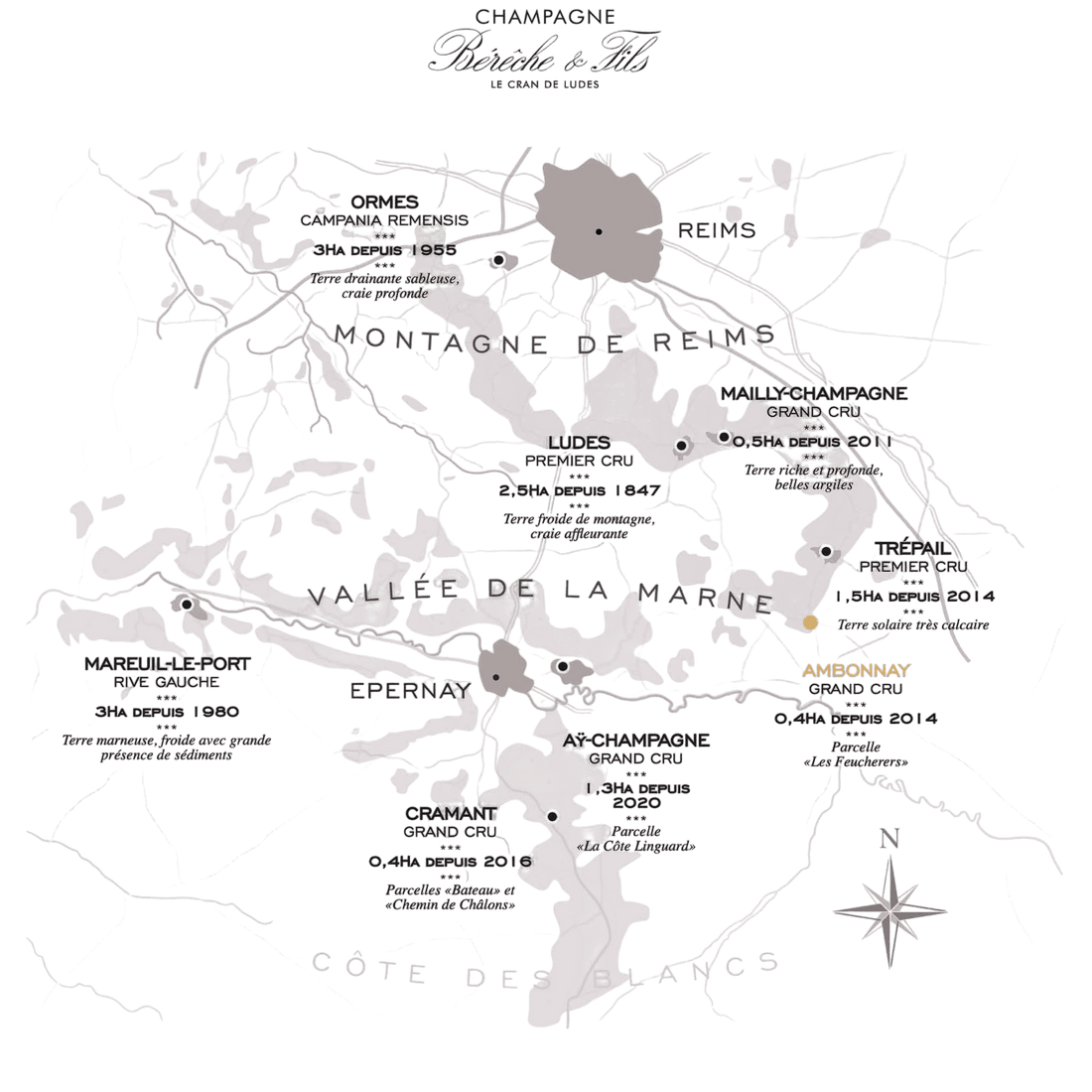 Bérêche et Fils Bérêche et Fils Ambonnay Blanc de Noirs Grand Cru 2019 75 cl. - PremiumBottles