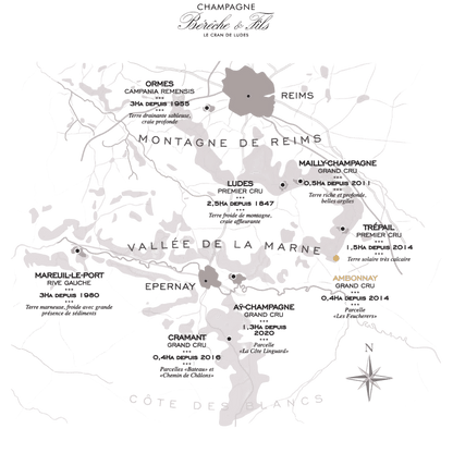 Bérêche et Fils Bérêche et Fils Brut Réserve Vieilles Vignes 75 cl. - PremiumBottles
