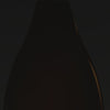 Video af Dom perignon 2017